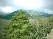 Miraflores de la Sierra, Madrid